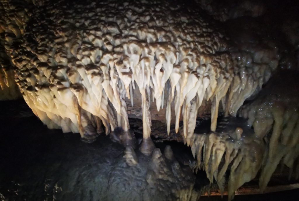 Formazione nella grotta del Corchia